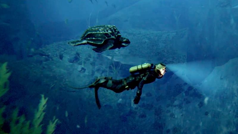 Under the Waves uscita